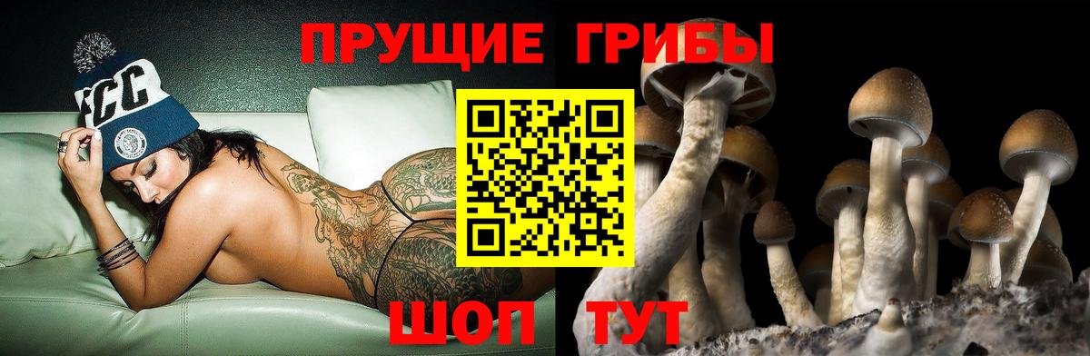 Галлюциногенные грибы мухоморы Тамбов